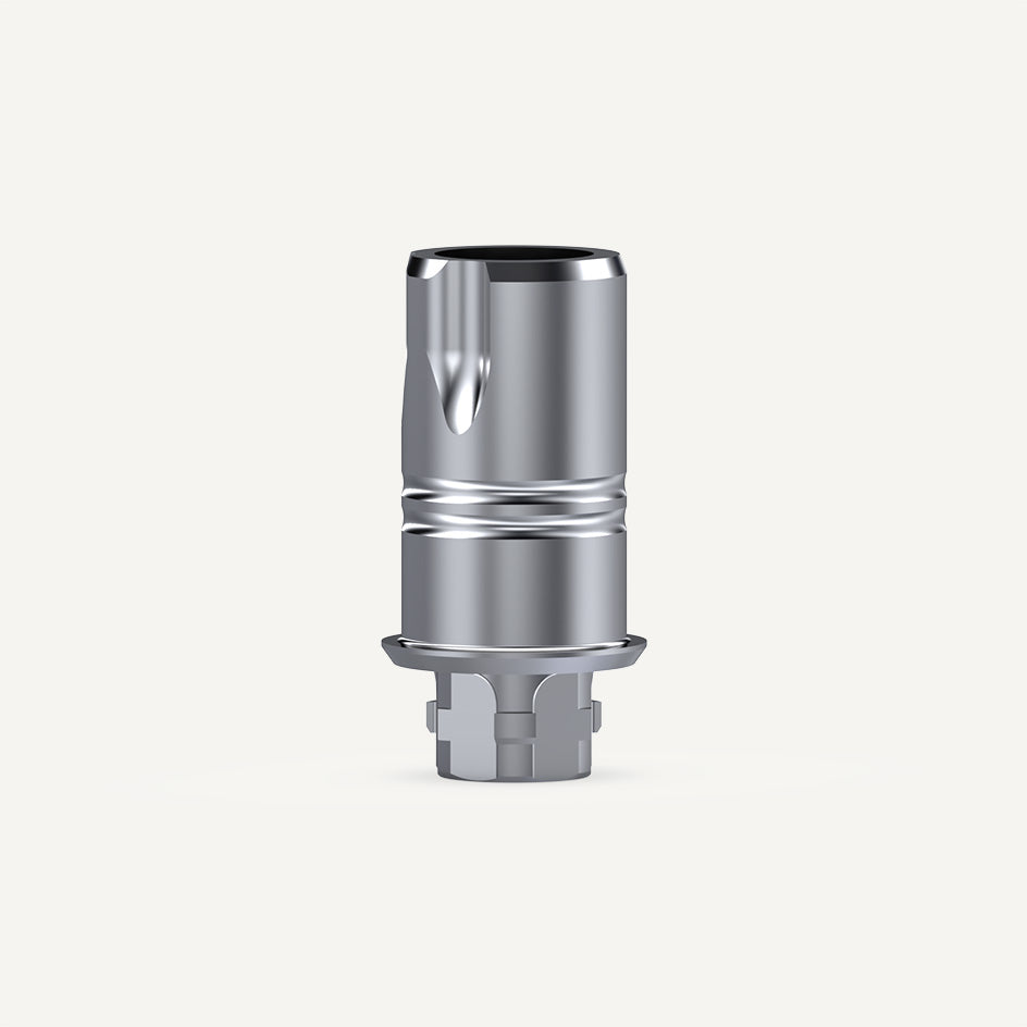 NeoBase® Abutments Straight Screw Channel